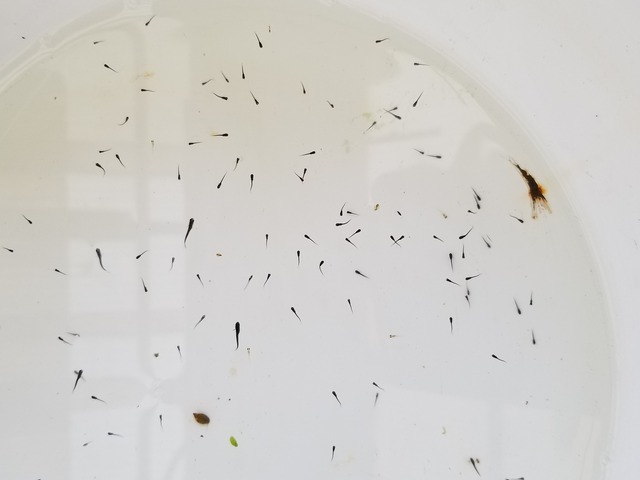 20230624_151852_copy_2016x1512