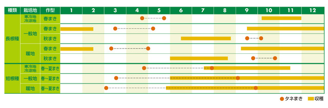 gobou_calender-thumb-960x316-5730
