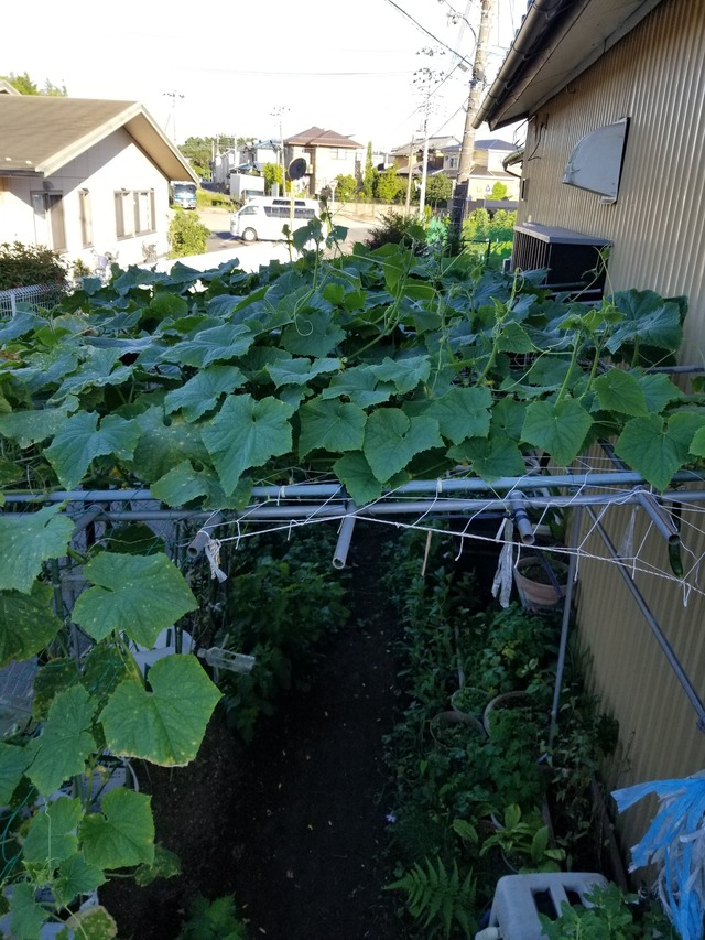 20210716_172430_copy_2268x3024