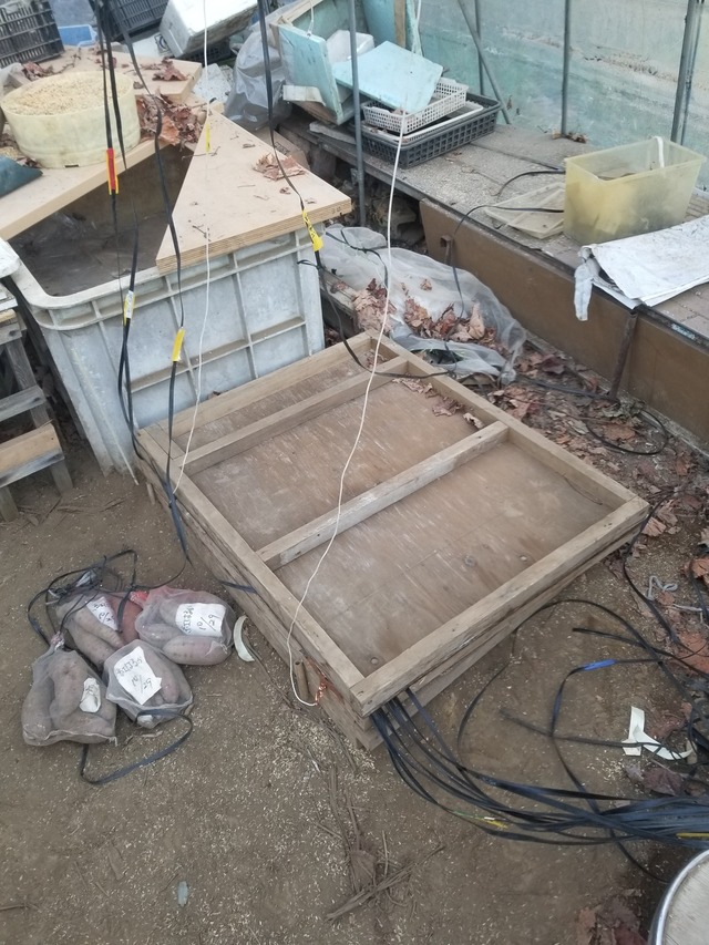 20240112_101409_copy_1512x2016