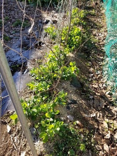 20200209_151357-2268x3024