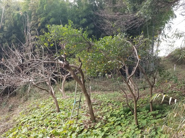 20240103_100707_copy_2016x1512