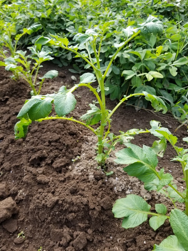 20210917_083530_copy_2268x3024