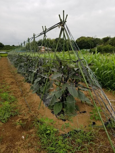 20190627_092952-831x1108