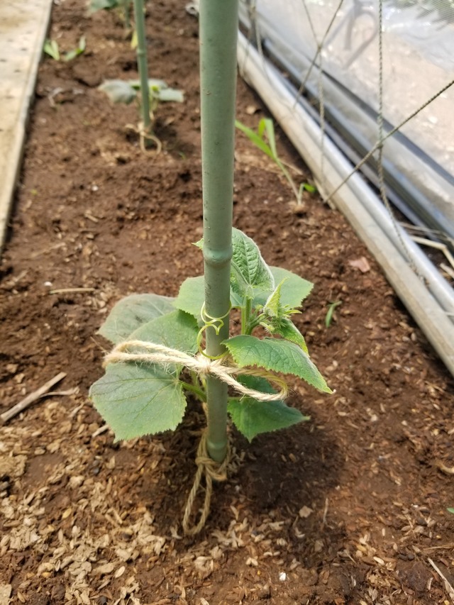 20230724_103921_copy_1512x2016