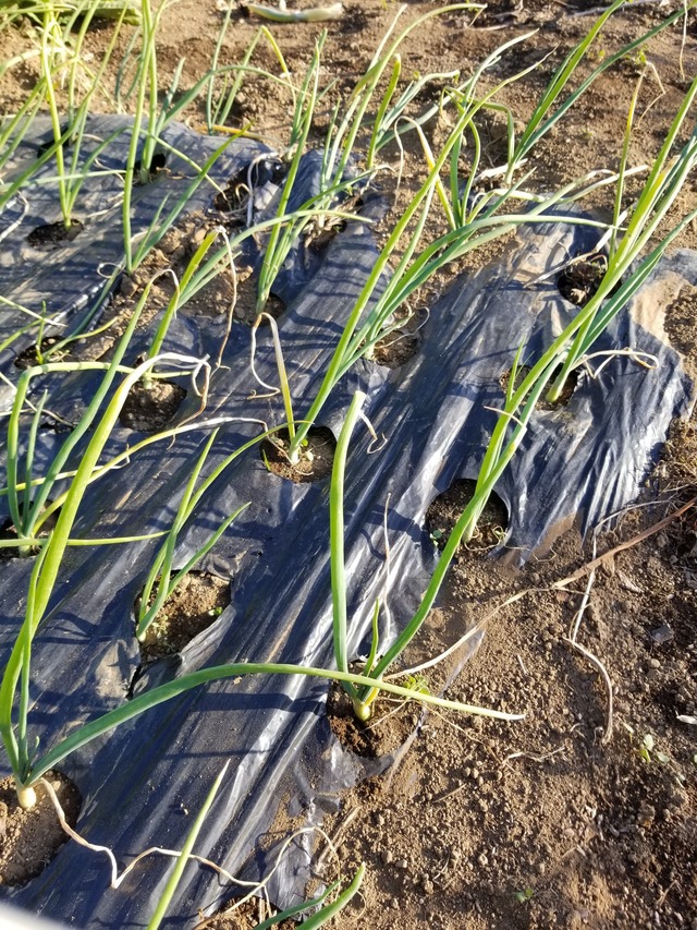 20231210_145745_copy_1512x2016