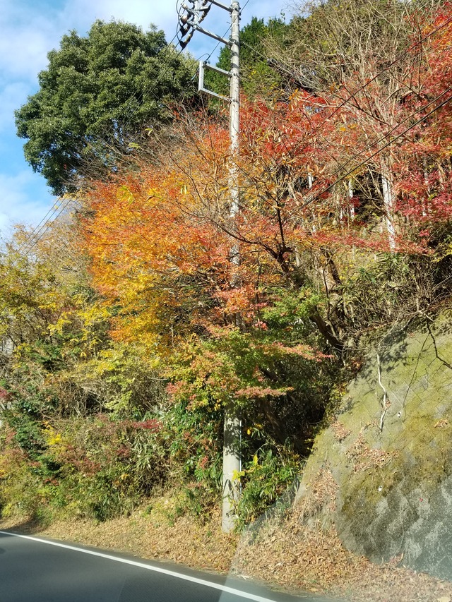 20201122_130201_copy_3024x4032