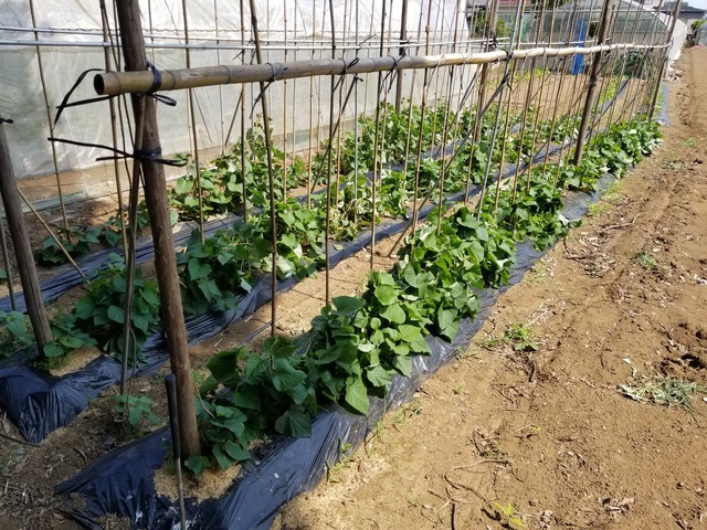 20230703_140715_copy_2016x1512