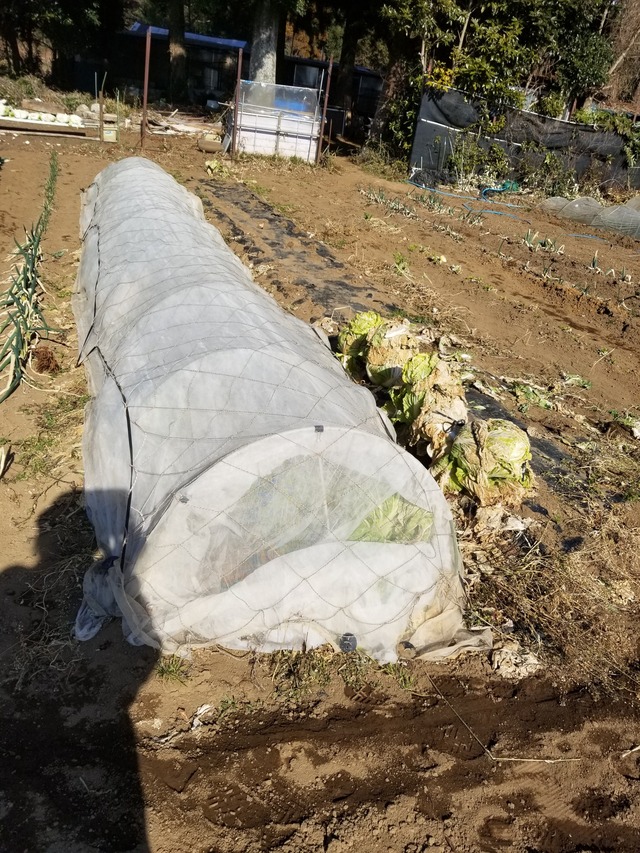 20230113_112543_copy_1512x2016