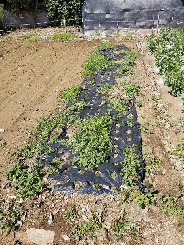20240315_104227_copy_2268x3024