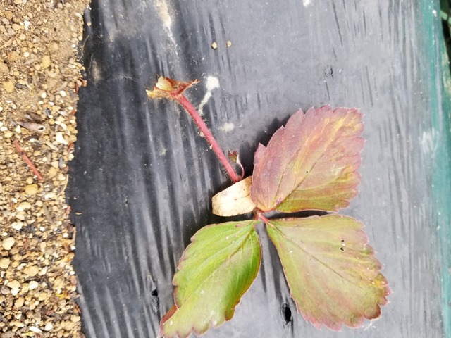 20231219_092746_copy_2016x1512