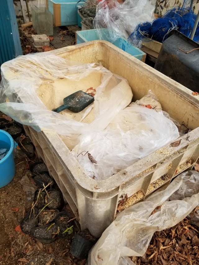 20210105_075024_copy_2268x3024