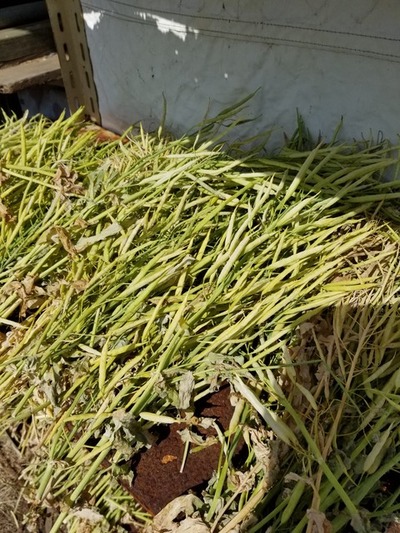 20190517_083156-1620x2160