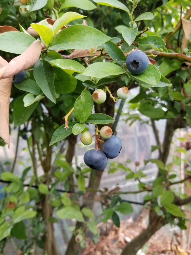 20230703_083158_copy_1512x2016