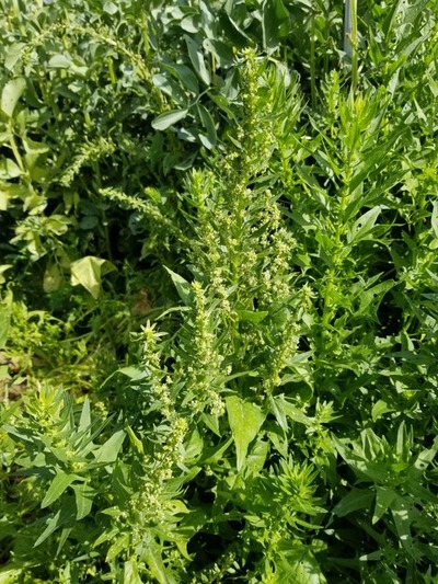 20190517_083343-1620x2160