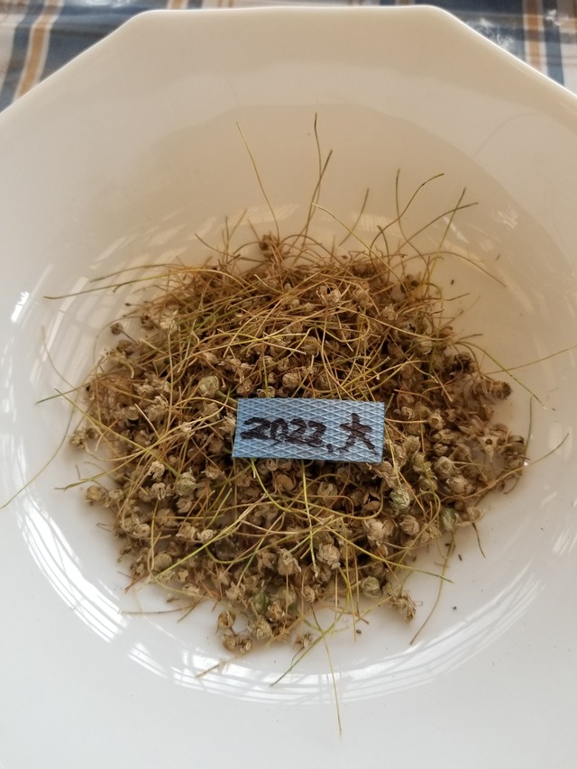 20230624_131925_copy_1512x2016