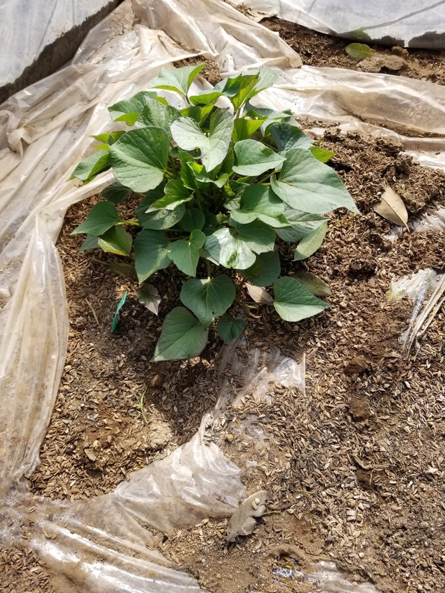 20230417_143656_copy_1512x2016