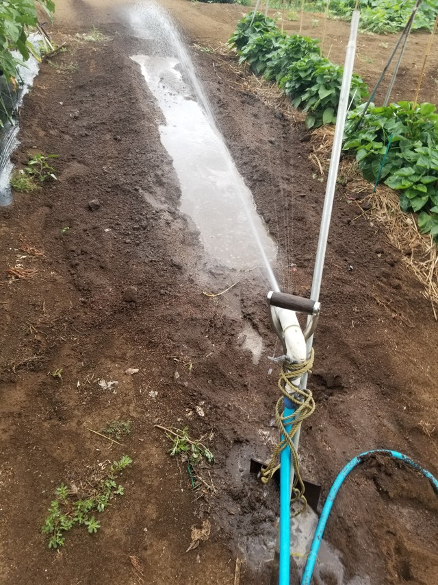 20230801_081156_copy_1512x2016_1