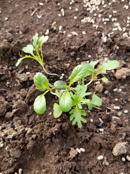 20191228_151023-2268x3024