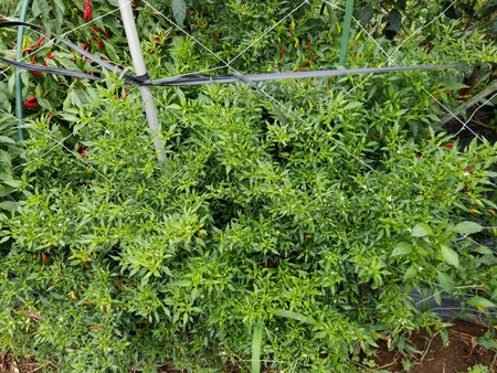 20190828_081815-2160x1620