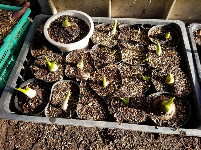 20200224_075814-3024x2268