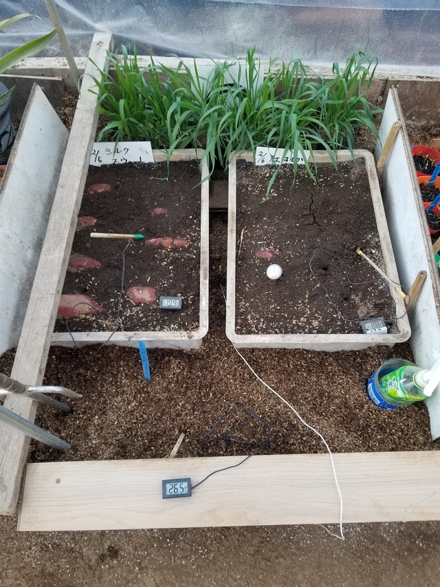 20240214_101642_copy_2268x3024