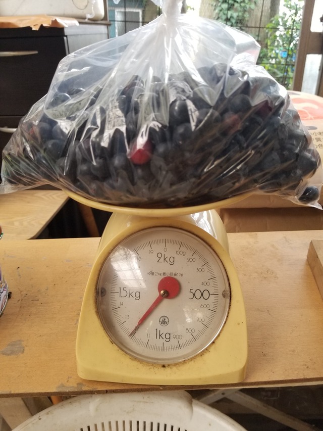 20230707_111448_copy_1512x2016