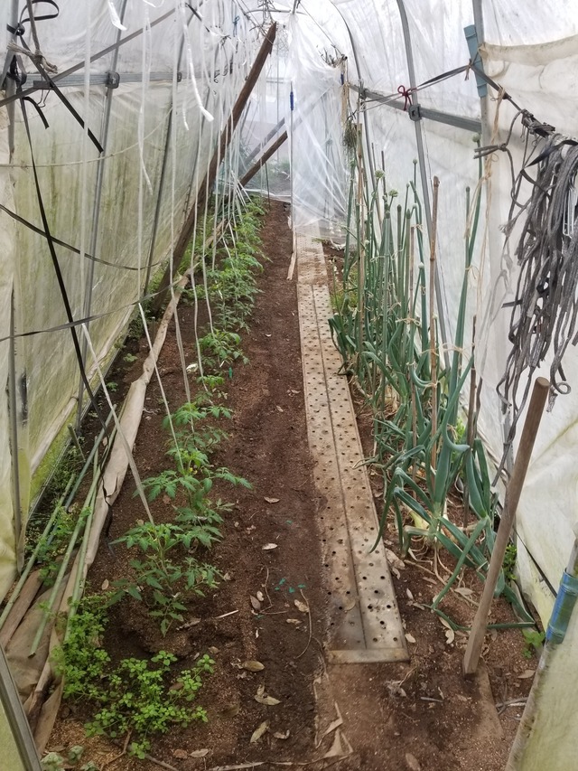 20230426_075958_copy_1512x2016