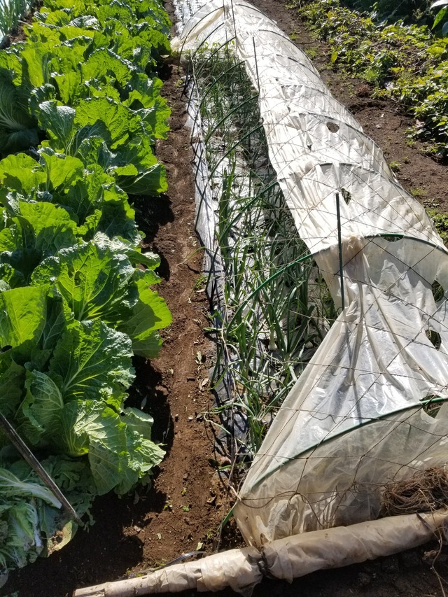 20231122_105901_copy_1512x2016