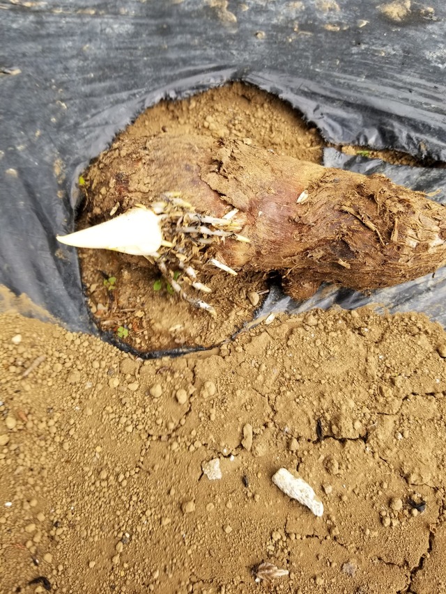 20230425_104631_copy_1512x2016