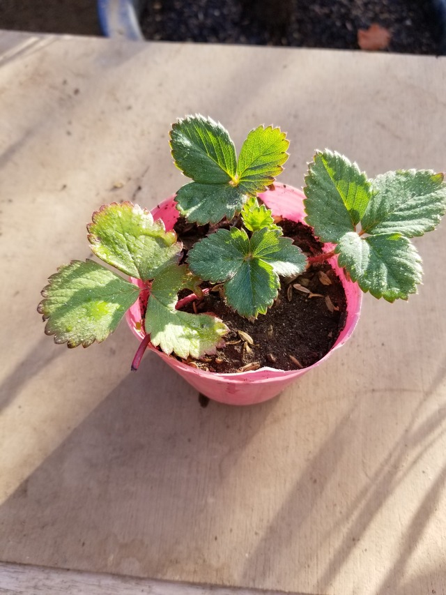 20230104_082848_copy_2268x3024