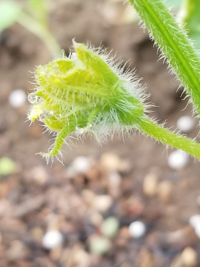 20230416_073825_copy_1512x2016