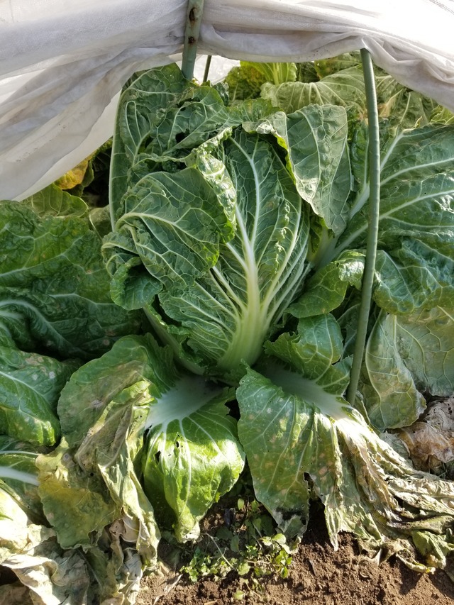 20230107_105832_copy_1512x2016