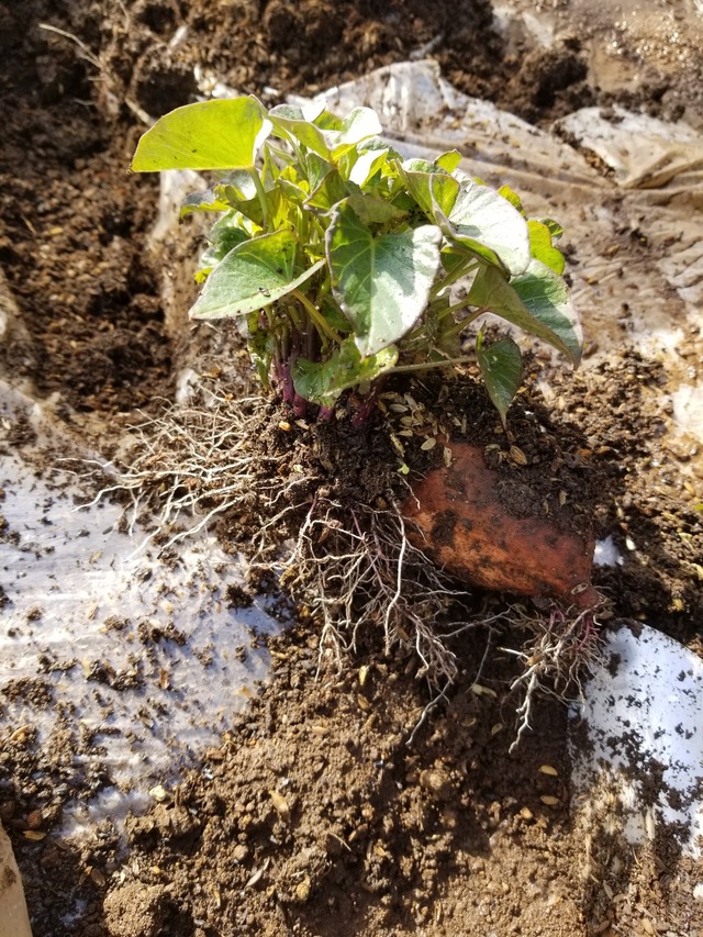 20230311_143333_copy_1209x1612