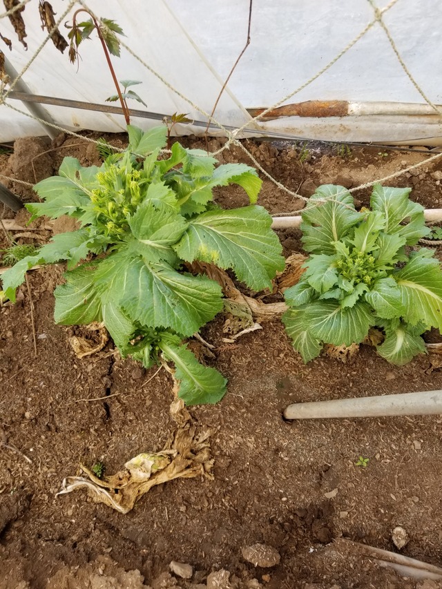 20240411_084634_copy_2268x3024