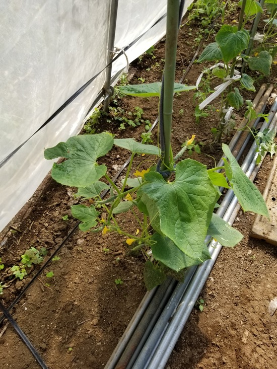 20191013_105130-1620x2160