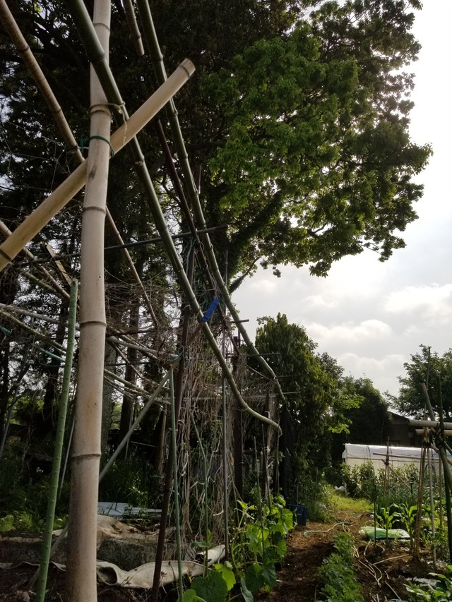 20200513_082055_copy_2268x3024