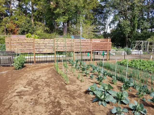 20200424_084407_copy_2268x1701