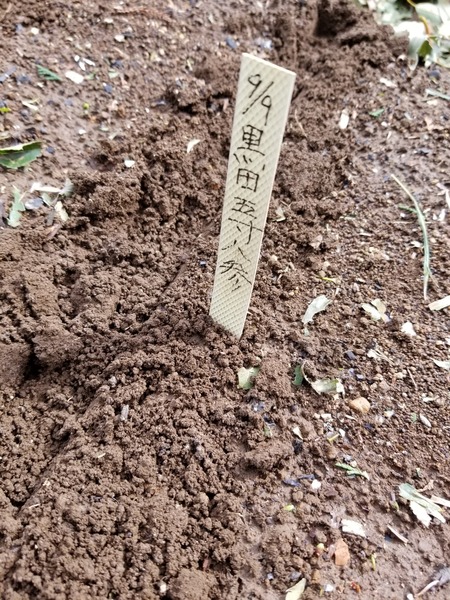 20190909_142103-1620x2160