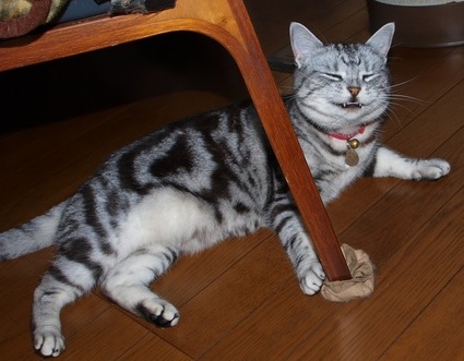 練馬大長尻大根11