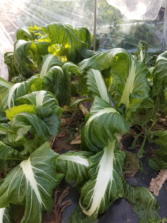 20230106_080723_copy_1512x2016