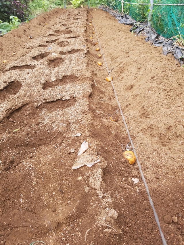 IMG_20230828_095804_copy_1512x2016