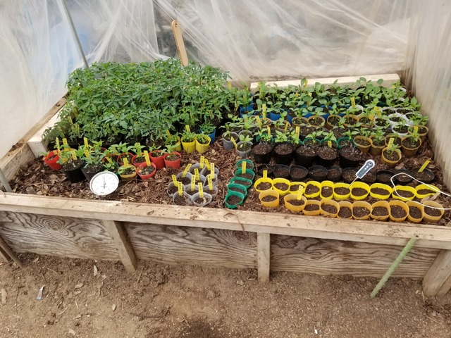 20190408_080850-1600x1200