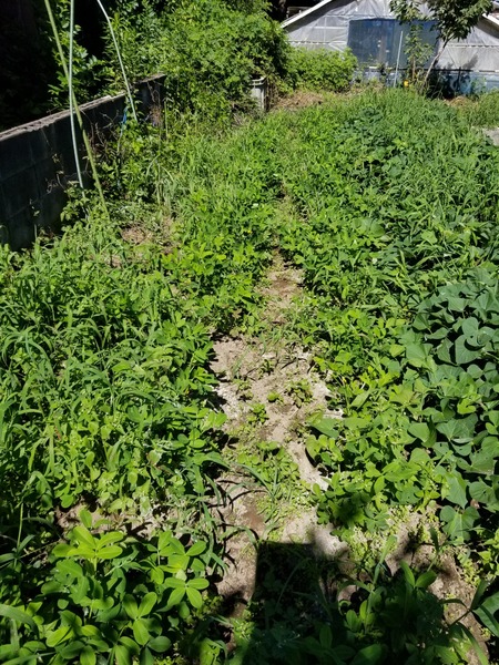 20190726_091240-1620x2160