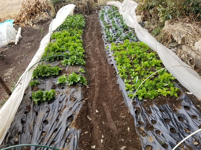 20240122_142015_copy_2016x1512