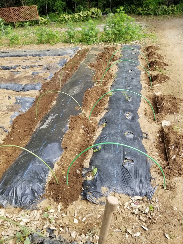 20230429_093357_copy_1512x2016