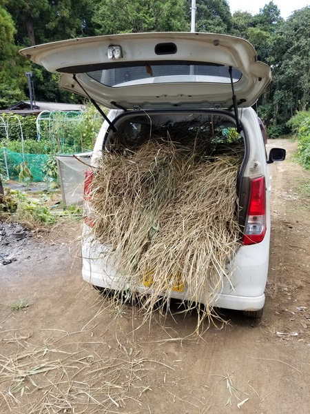 20190907_132130-1620x2160