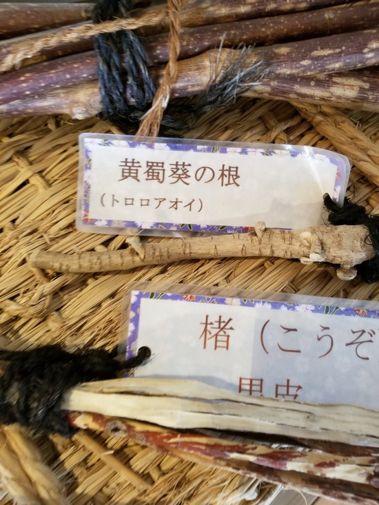 20191027_105253-1620x2160