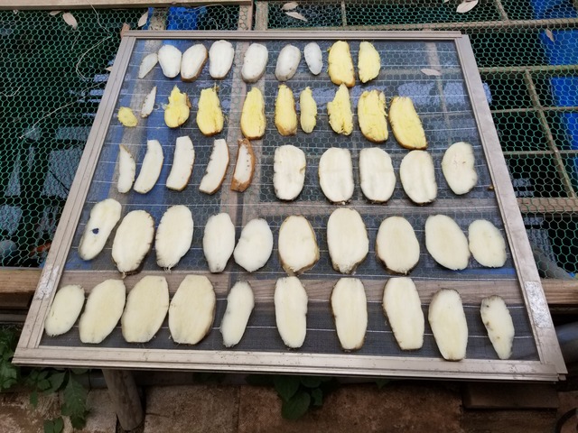 20221014_123608_copy_2016x1512