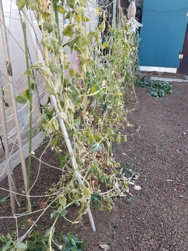 20220119_081224_copy_2268x3024